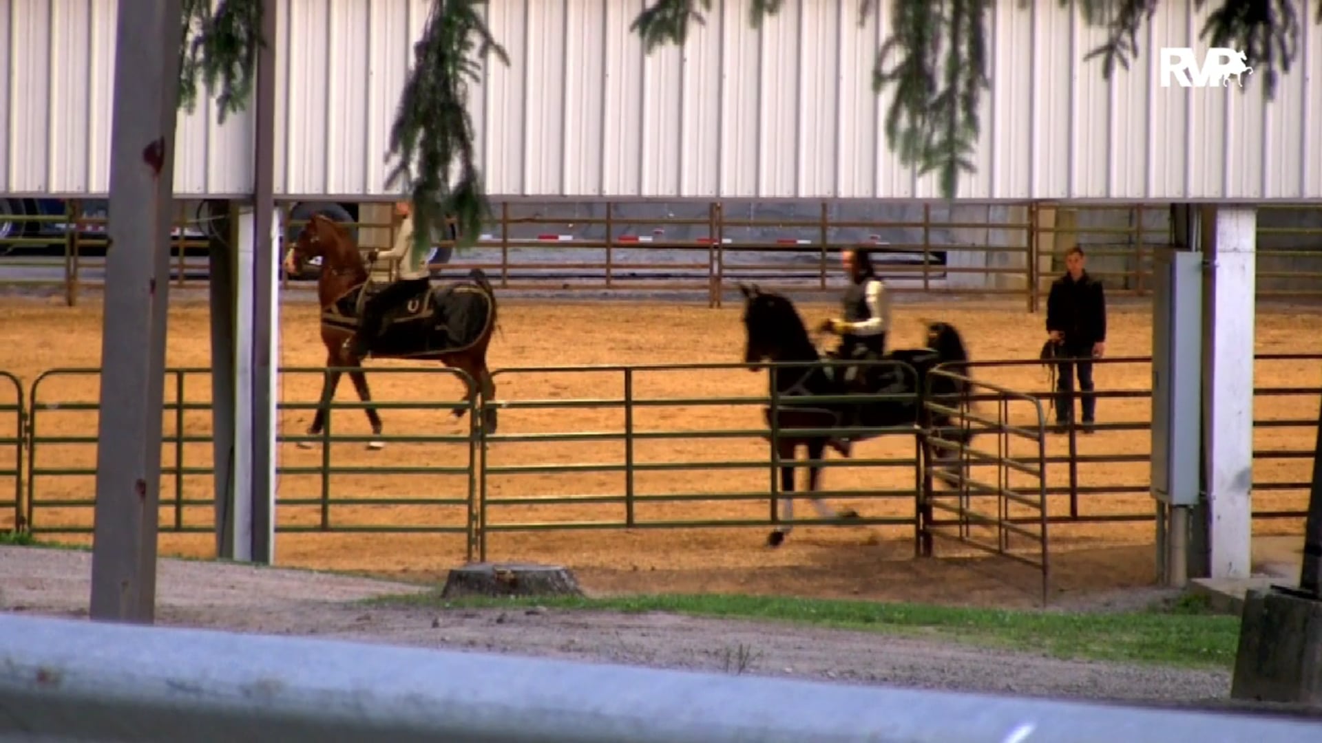 2019 Asheville Saddlebred Classic - Friday Morning