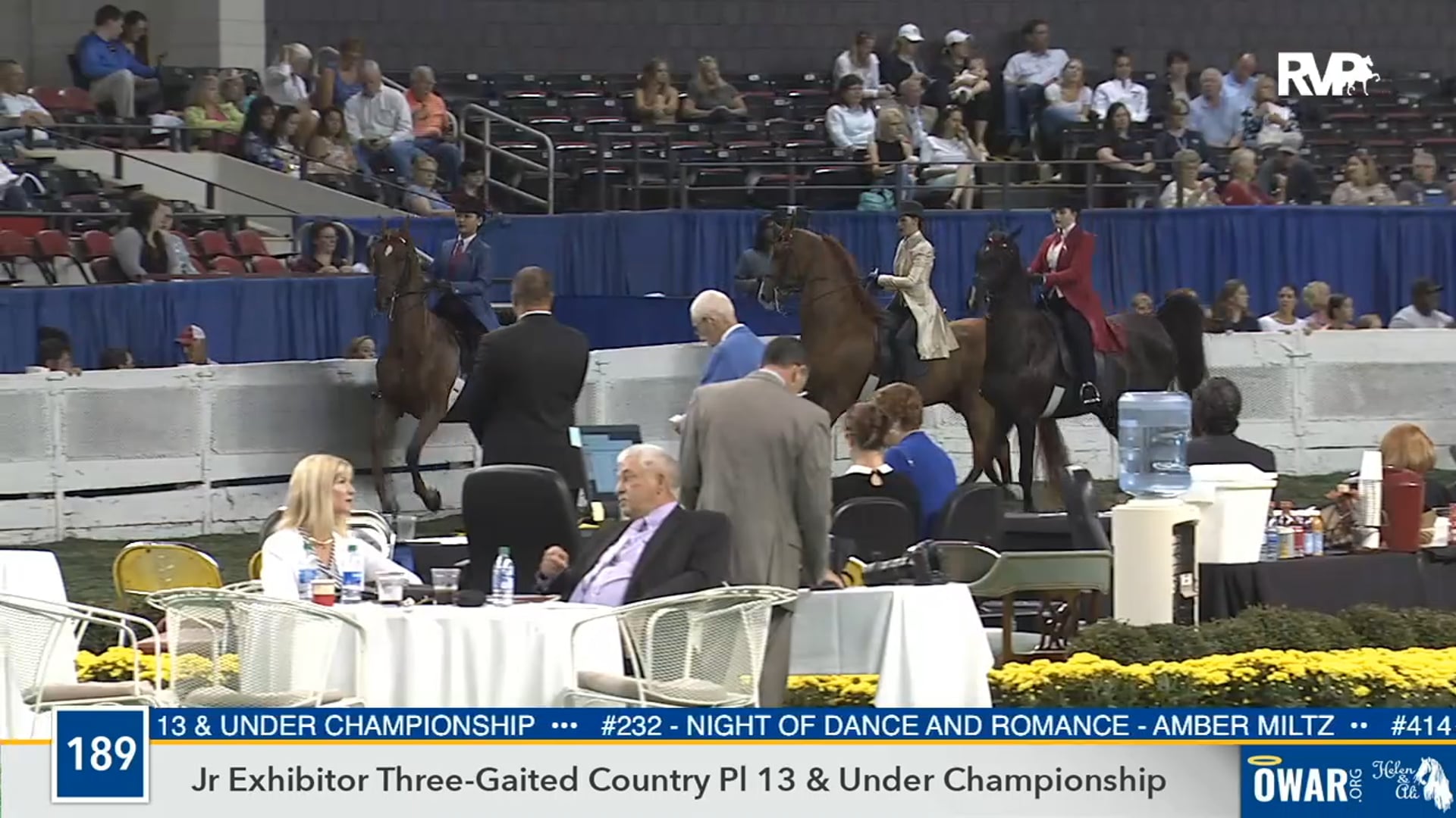 2019 WCHS - Class 189 Junior Exhibitor Three Gaited Country Pleasure, Rider 13 Years Old & Under Championship