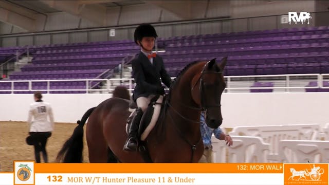 CC24 - Class 132 - Morgan Walk-Trot H...