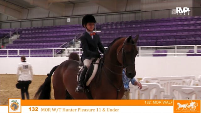 CC24 - Class 132 - Morgan Walk-Trot H...