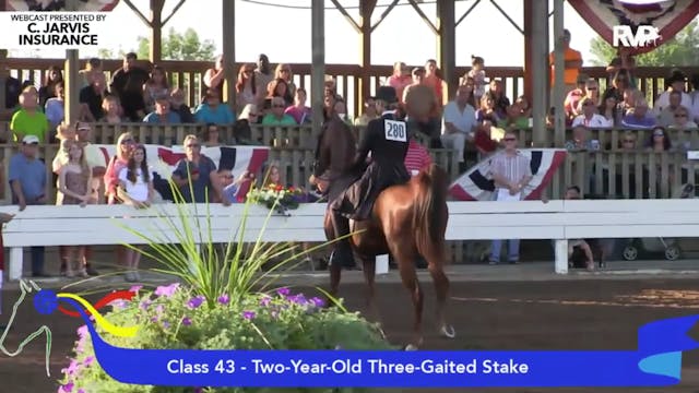 2015 SHS - Class 43 Two Year Old Thre...
