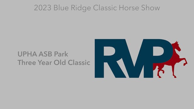 BR23 - Class 122.1 - UPHA ASB Park Th...