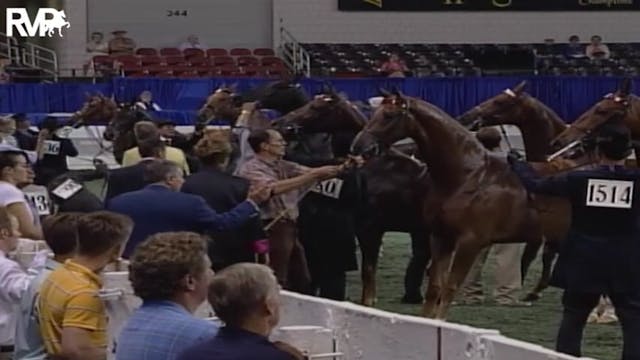 2004 World's Championship Horse Show ...