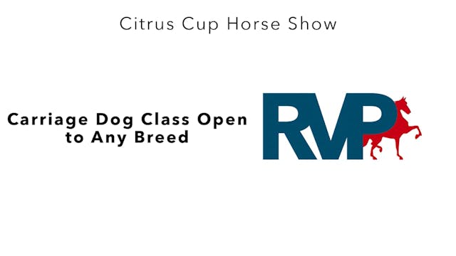 CC24 - Class 34 - Carriage Dog Class ...