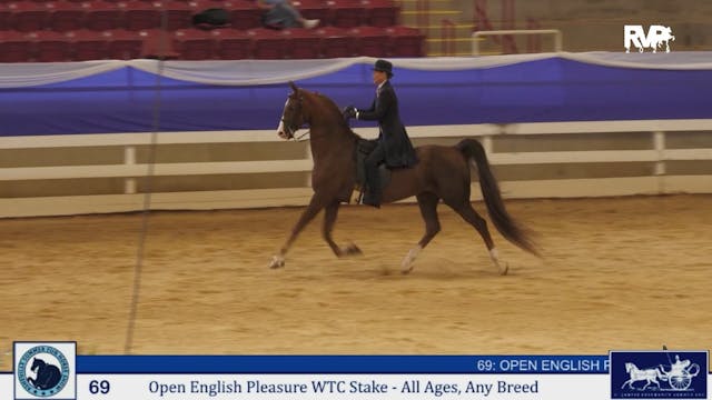 ASF25 - Class 69 - Open English Pleas...