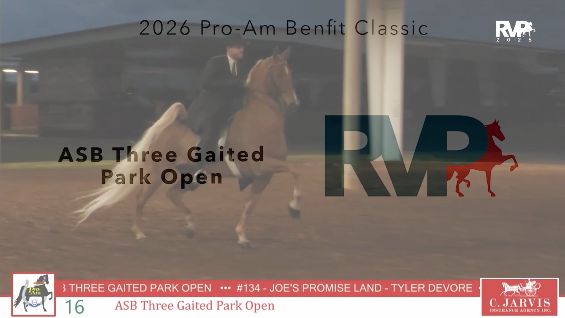 ProAm26 - Class 16 - ASB Three Gaited Park Open