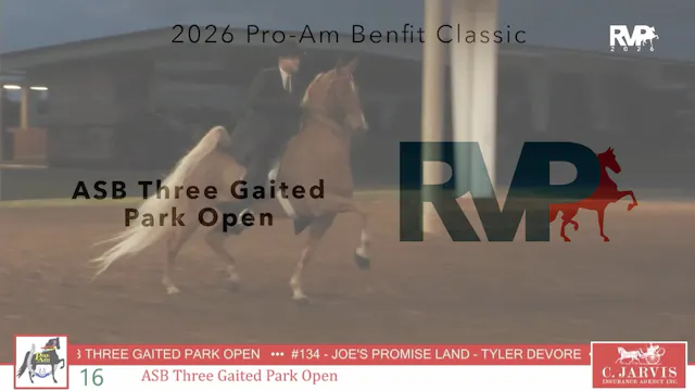 ProAm26 - Class 16 - ASB Three Gaited...