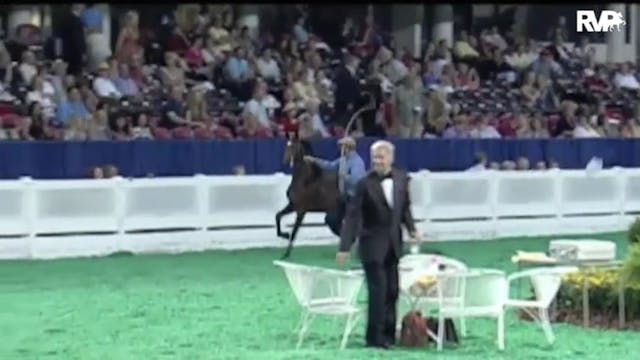 2010 World's Championship Horse Show ...