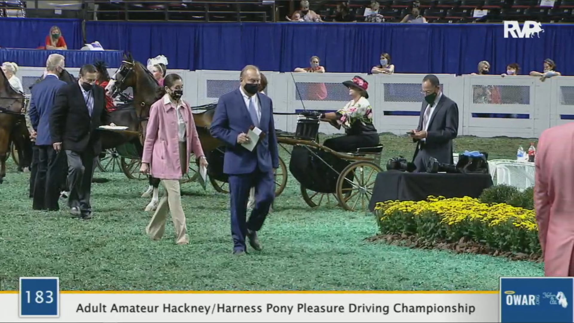 WCHS 2020 Class 183 - Adult Amateur Hackney:Harness Pony Pleasure Driving Championship