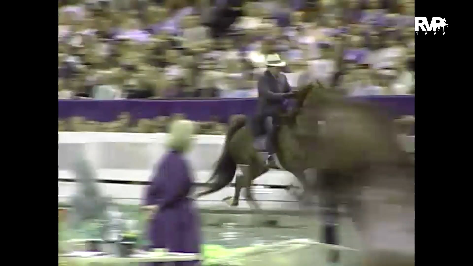 1999 WCHS - Class 199 Amateur Five Gaited Championship