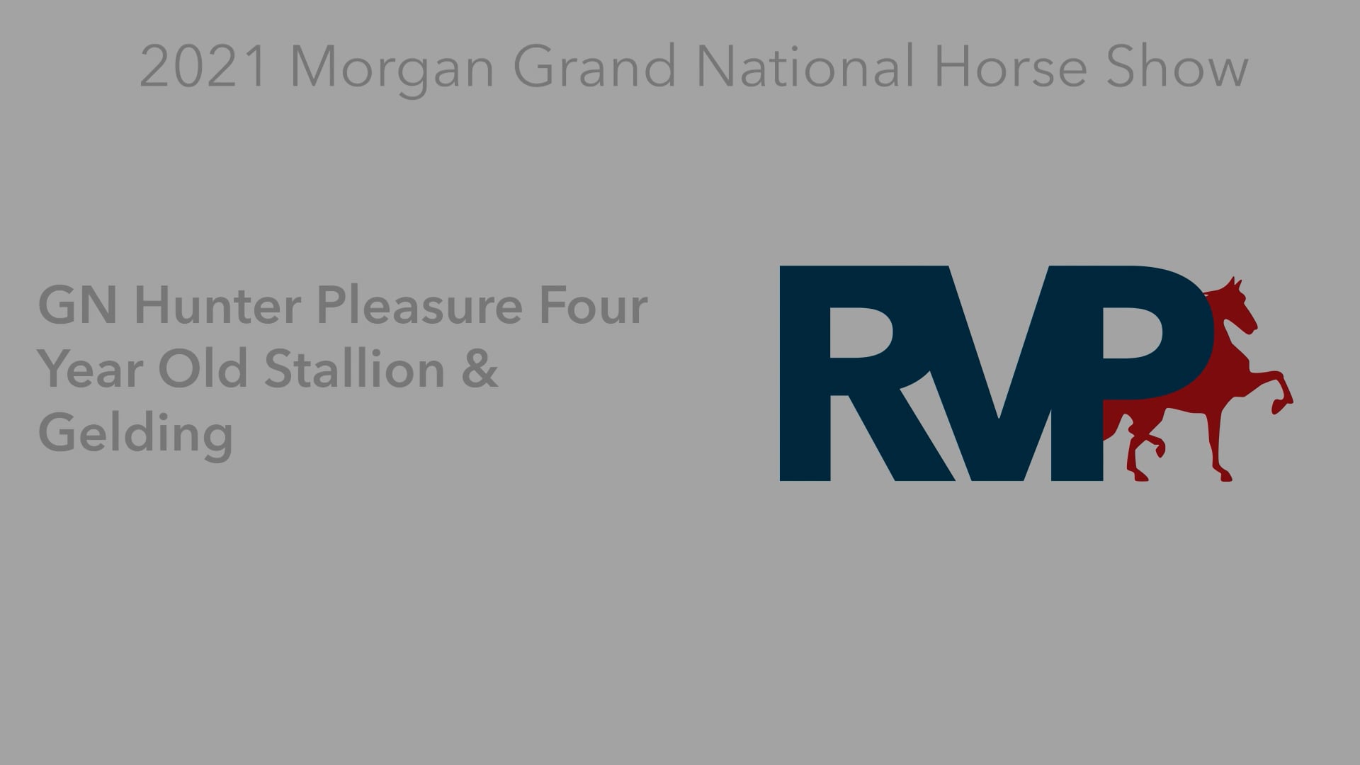 MGN21 - Class 23 - GN Hunter Pleasure Four Year Old Stallion & Gelding