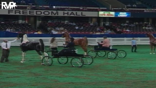 2004 World's Championship Horse Show ...