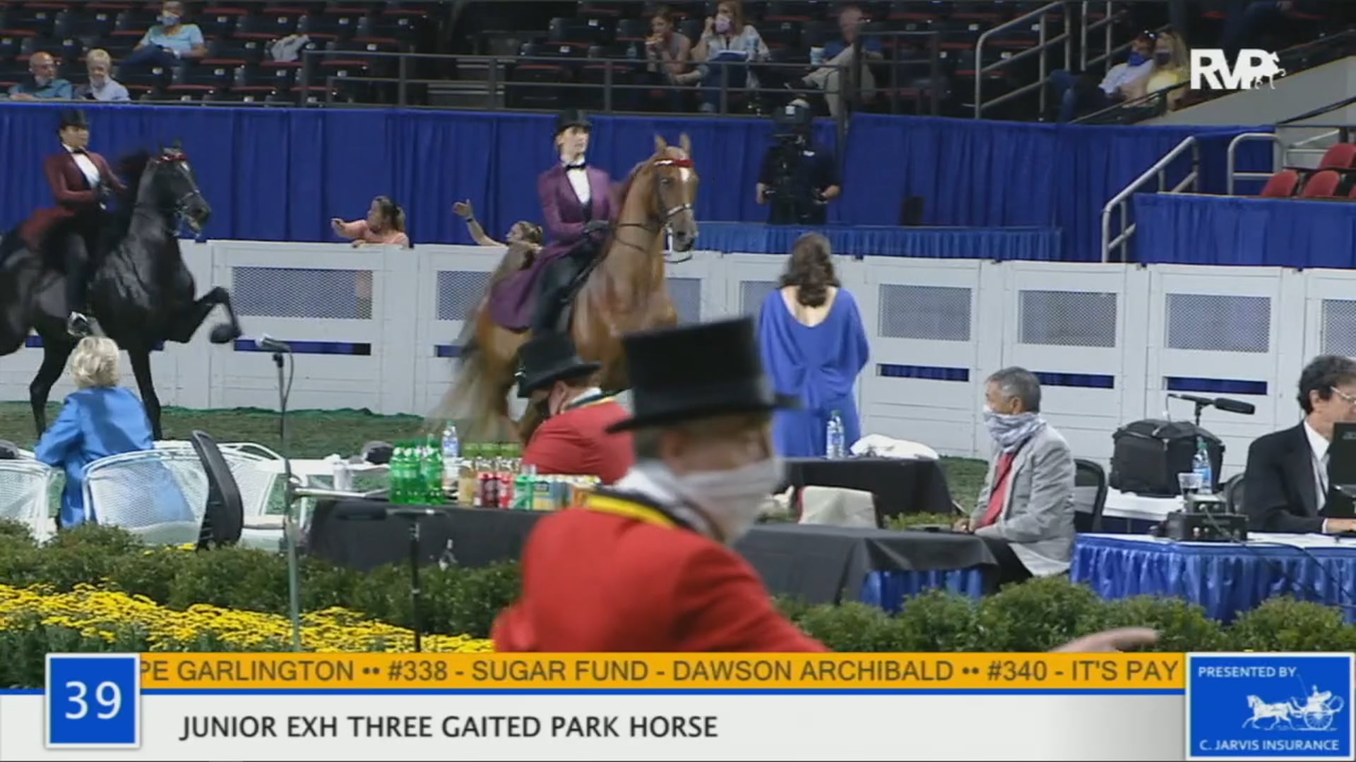 WCHS 2020 Class 39 - Junior Exhibitor Three-Gaited Park Horse
