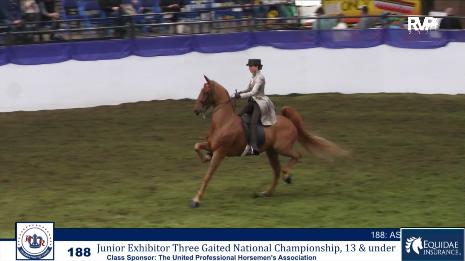 AR24 - Class 188 - Jr Exhibitor Three Gaited National Championship 13 & Under