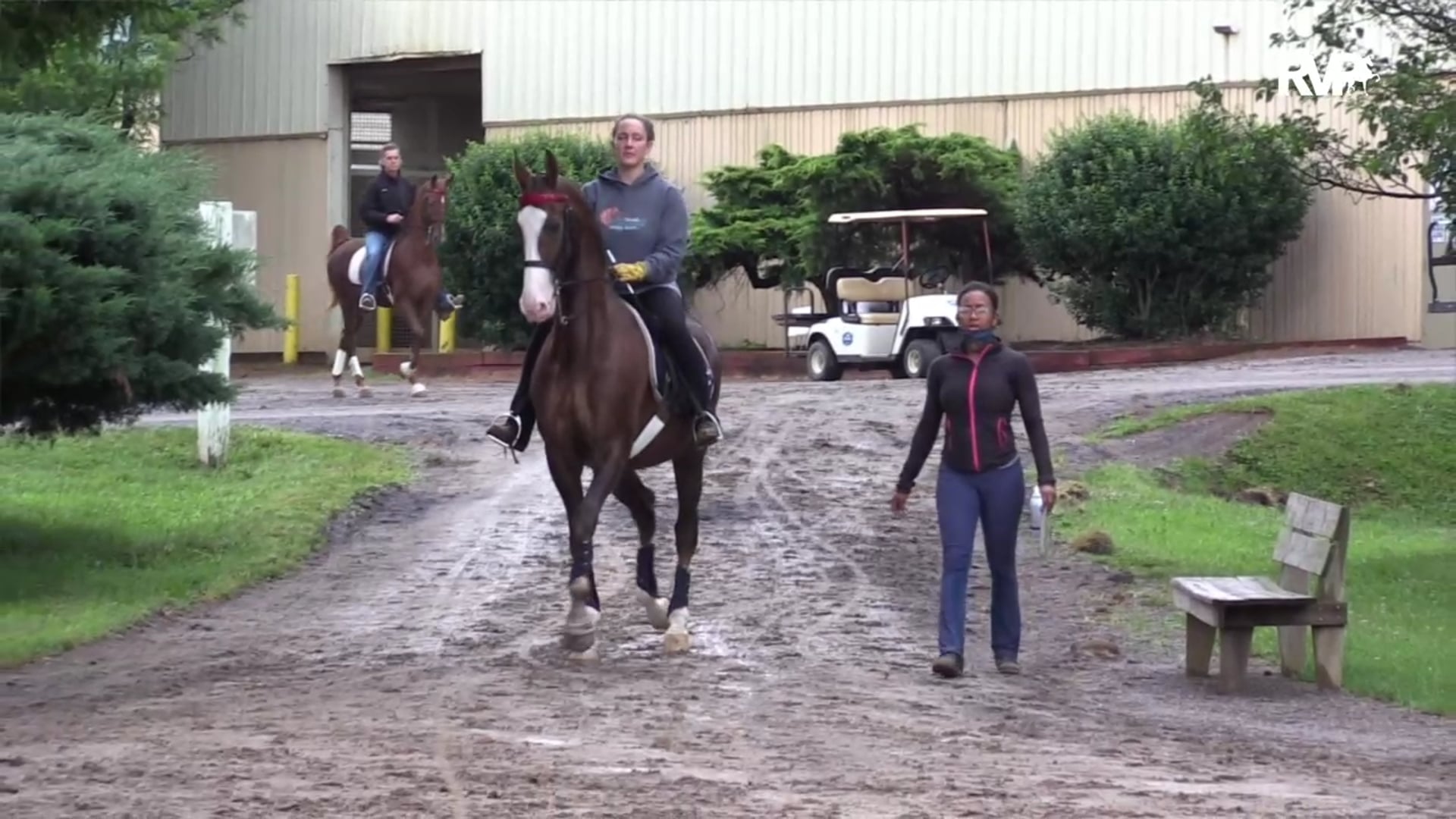 2020 Bonnie Blue Horse Show - Saturday Evening