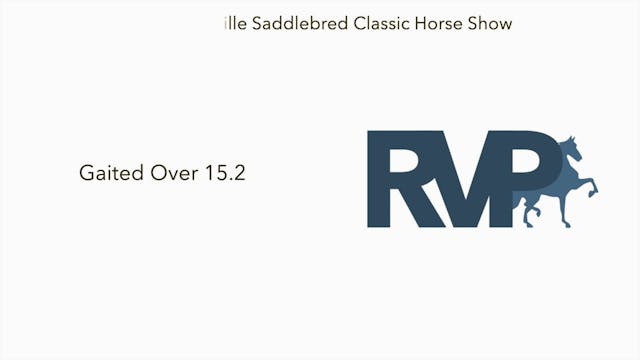 ASC23 - Class 32 - Three Gaited Over ...