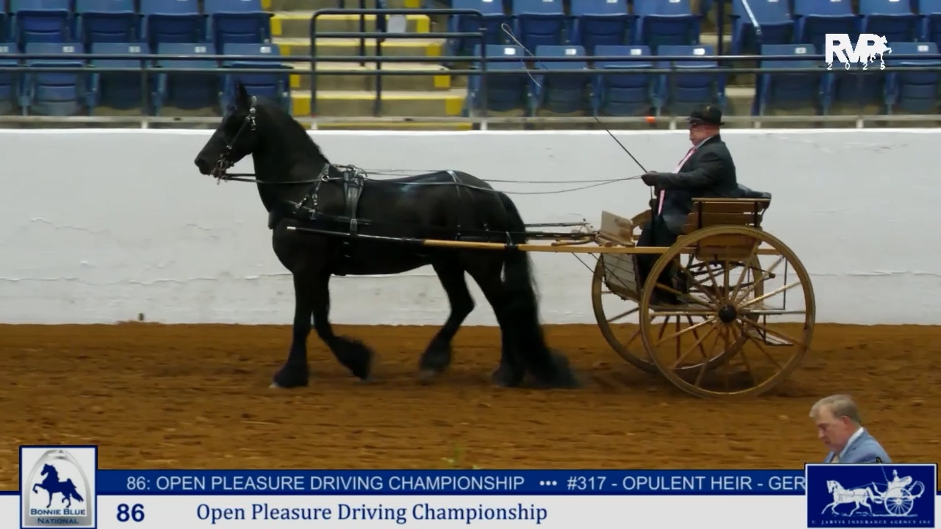 BB25 - Class 86 - Opportunity All Breed Pleasure Driving  Championship