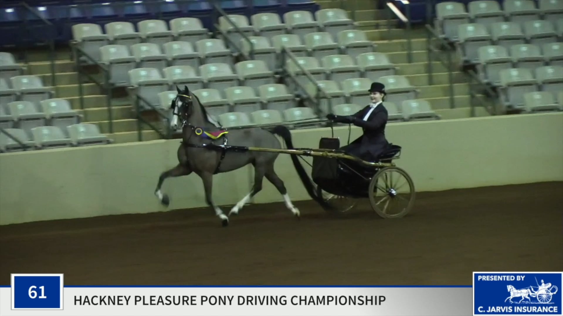 SSSF19 - Class 61 - Sight Unseen Championship