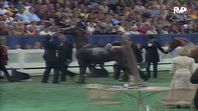 2000 WCHS Class 220 Three Gaited Gran...