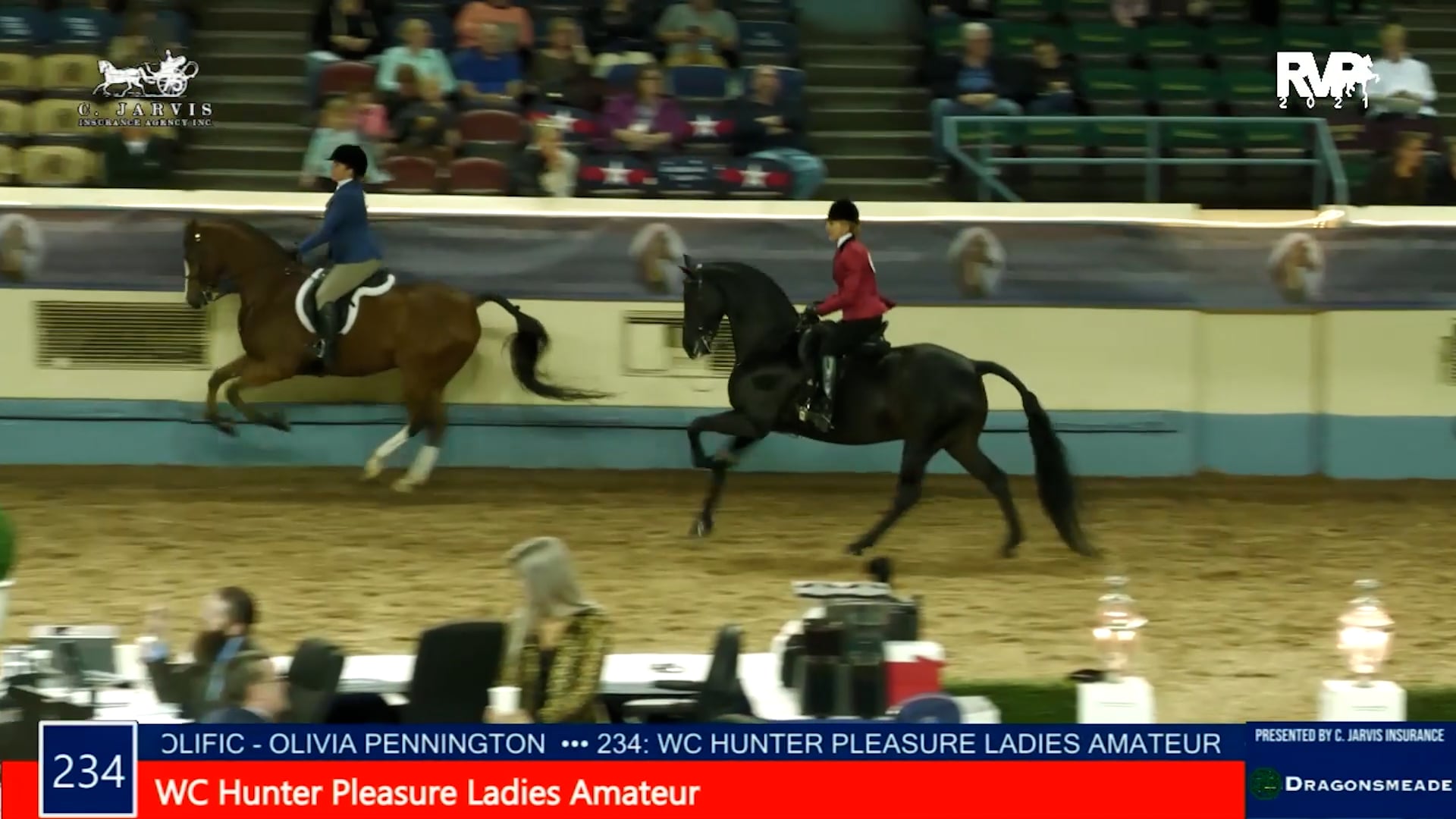 MGN21 - Class 234.2 - WC Hunter Pleasure Ladies Amateur