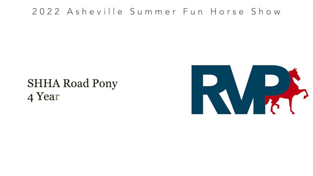 ASF22 - Class 49 - SHHA Road Pony 4 Y...