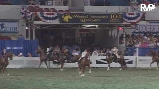 2007 WCHS Class 169 Three Gaited Pony...