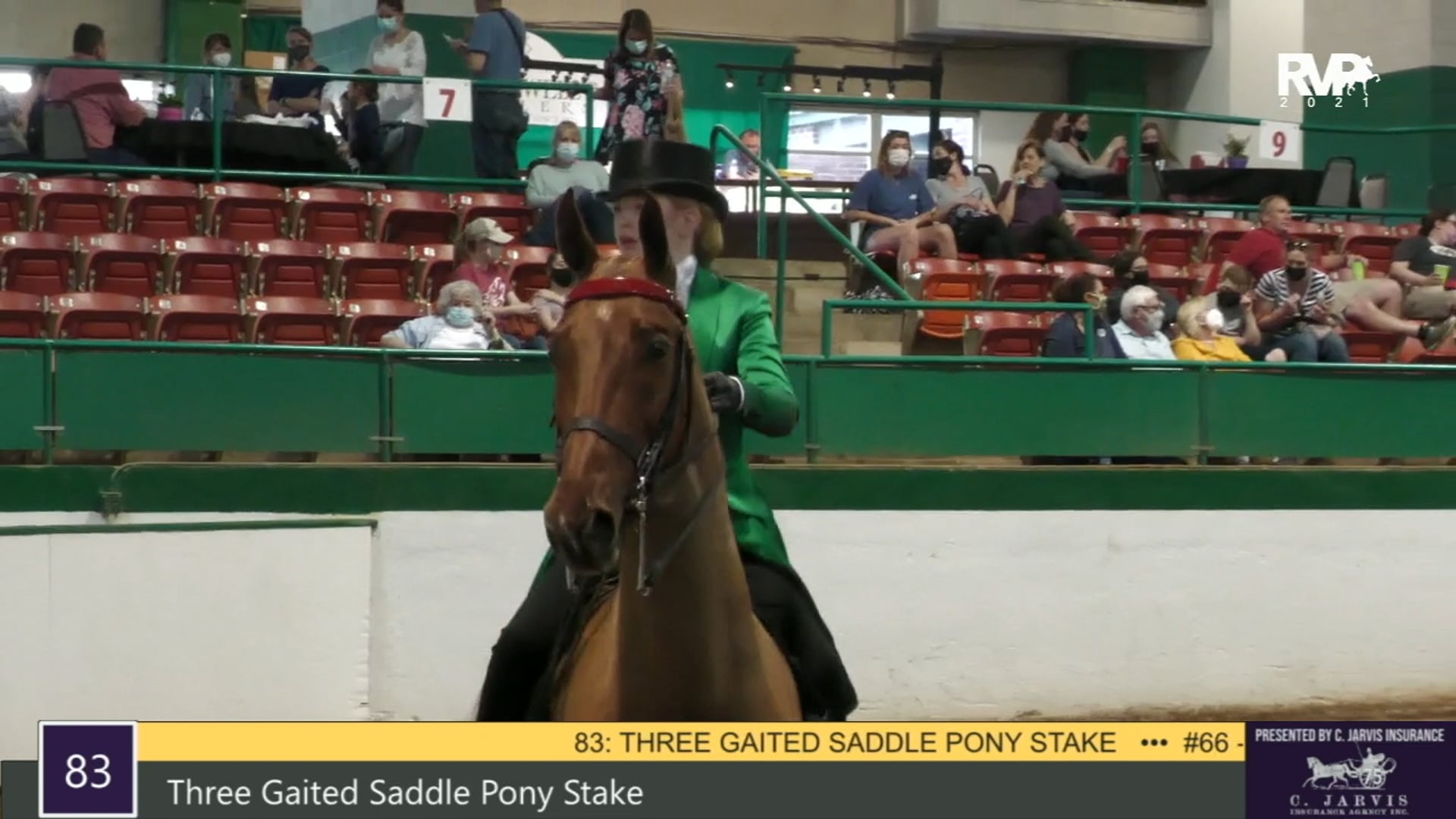 RSP21 - Class 83 - Three Gaited Saddle Pony Stake