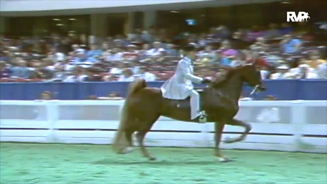 1992 WCHS Class 37 Amateur Five Gaite...