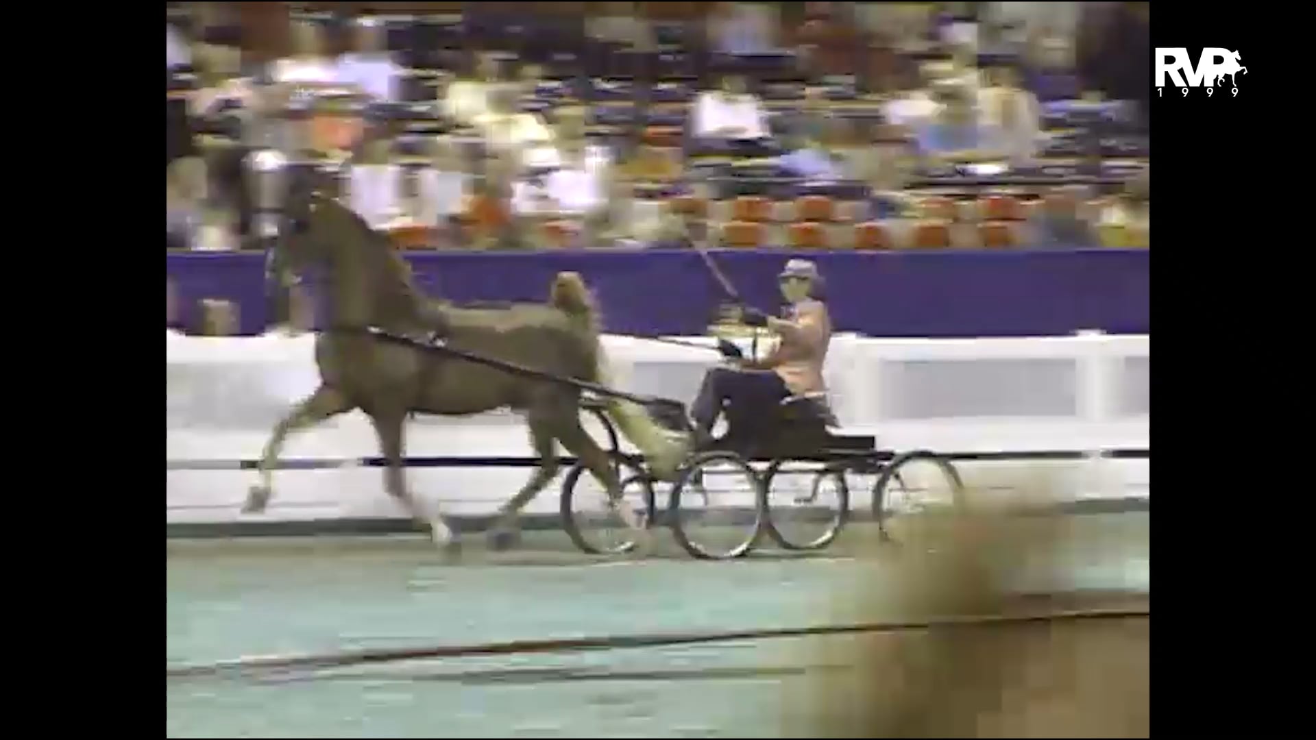 1999 WCHS - Class 93 ASHA National Three Year Old Futurity - Fine Harness Division 2