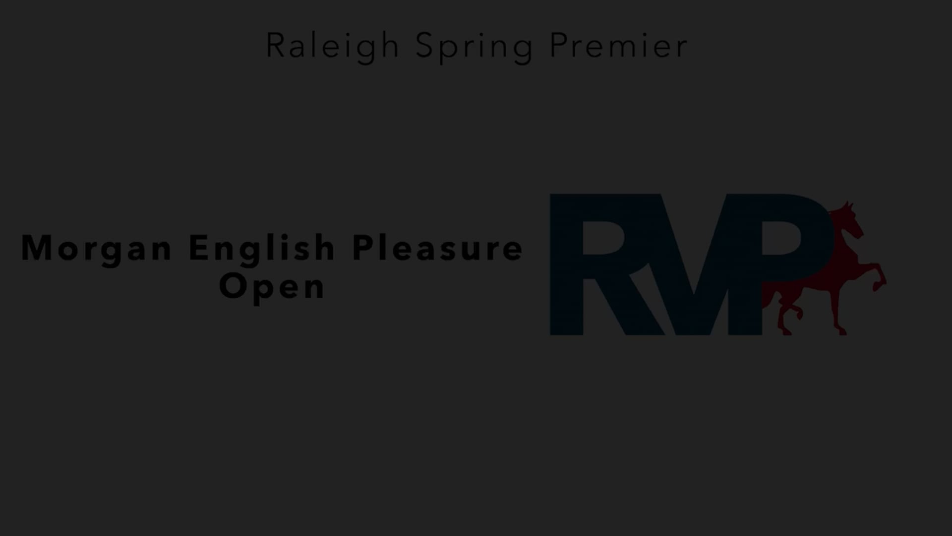 RSP25 - Class 17 - Morgan English Pleasure Open