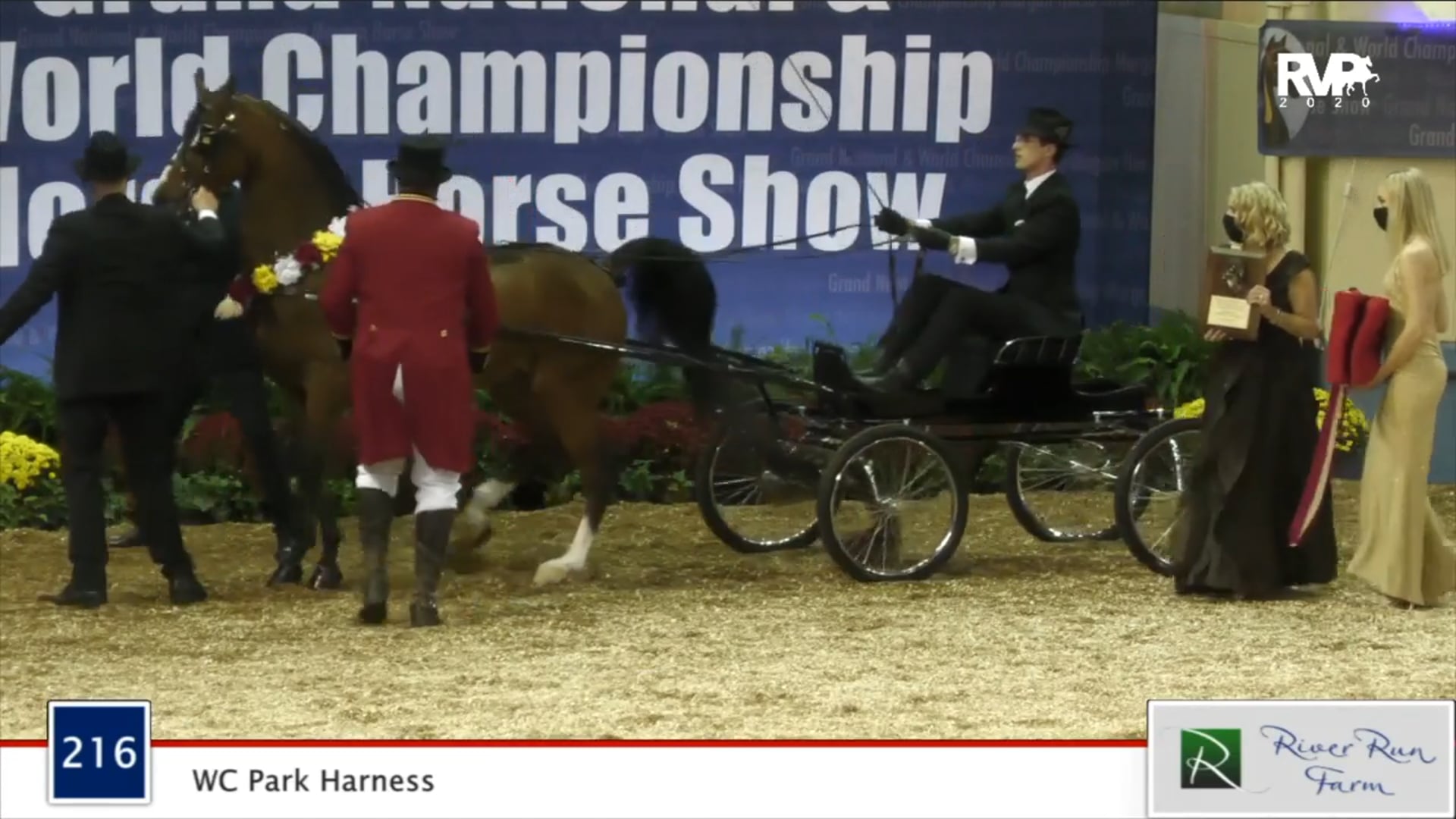 2020 MGN - Class 216 WC Park Harness