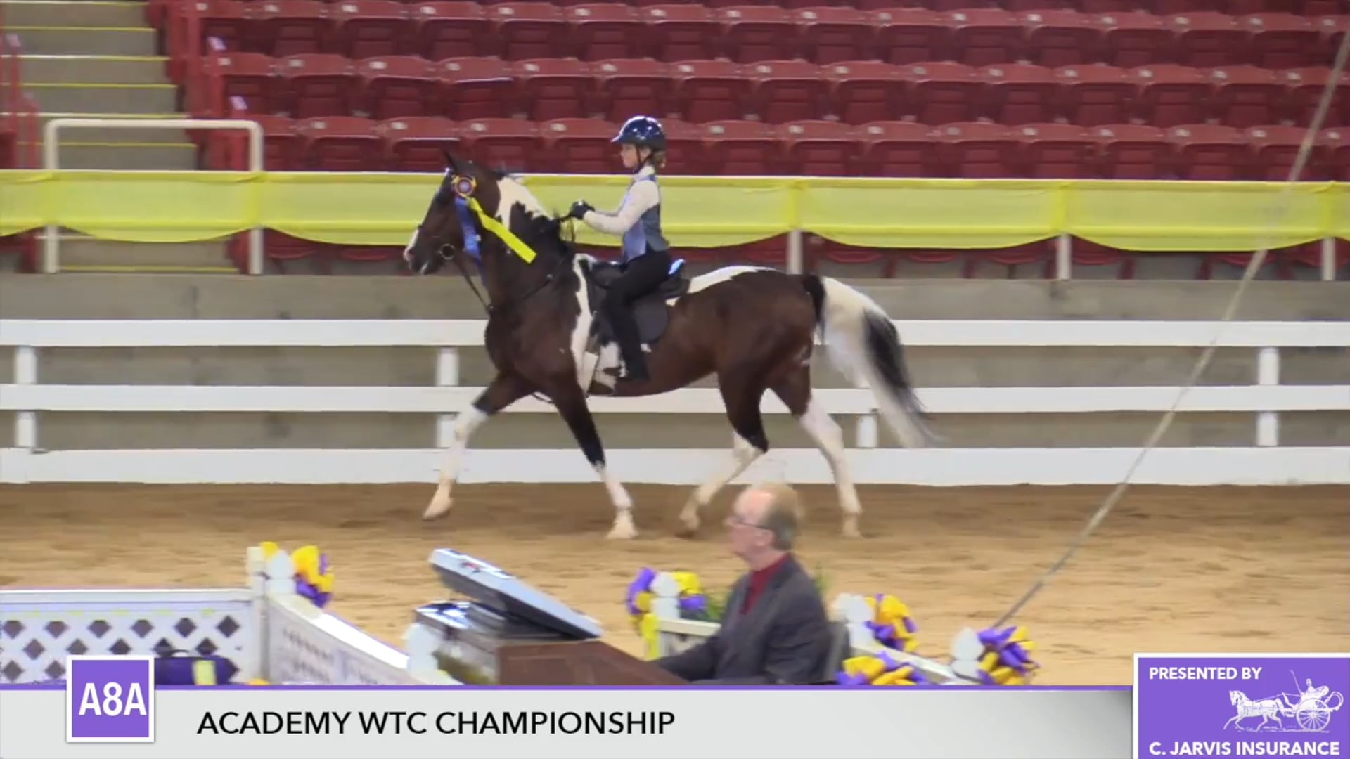 ALCB17 - Allison Maclean - Class A8A