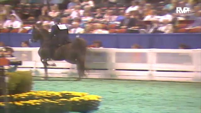 1992 WCHS Class 40 Junior Five Gaited...