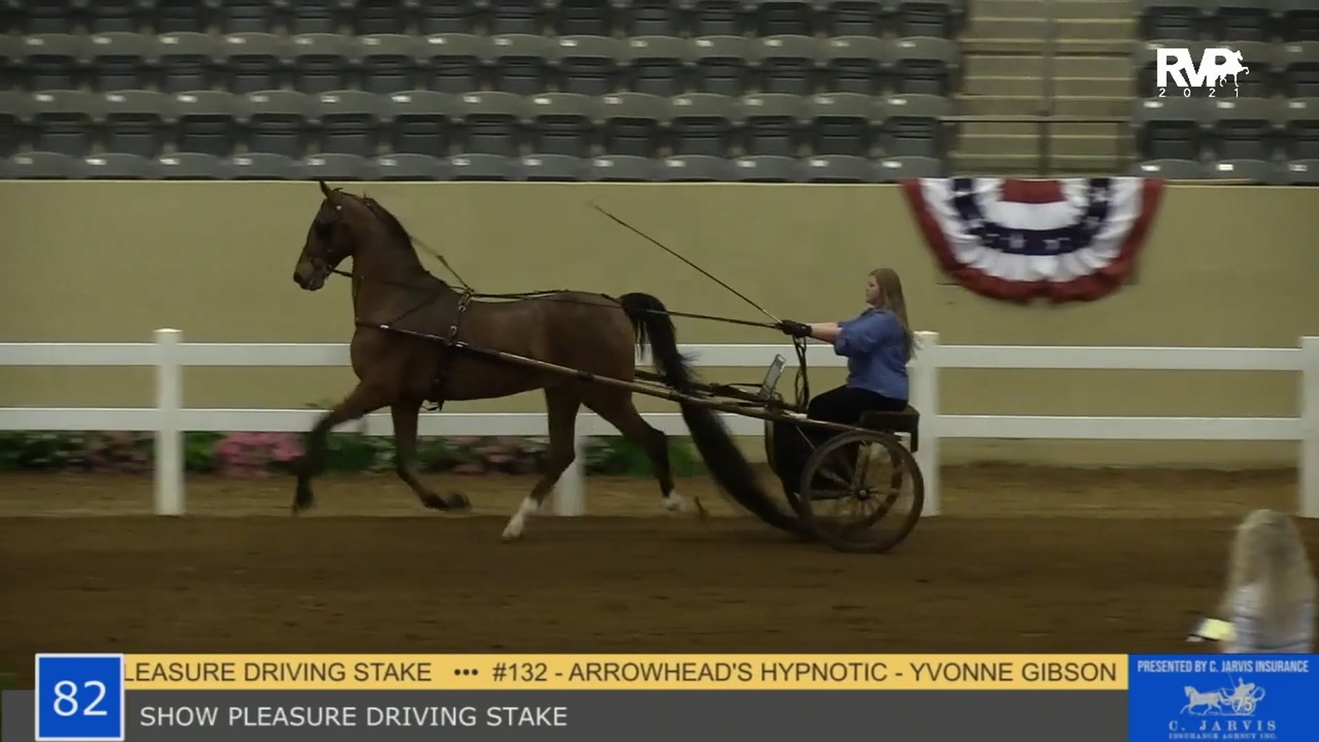 KYSP21 - Class 82 - Show Pleasure Driving Stake