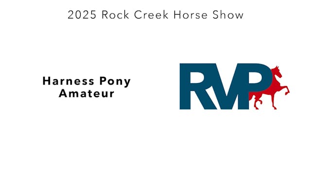 RC25 - Class 73 - Harness Pony Amateur