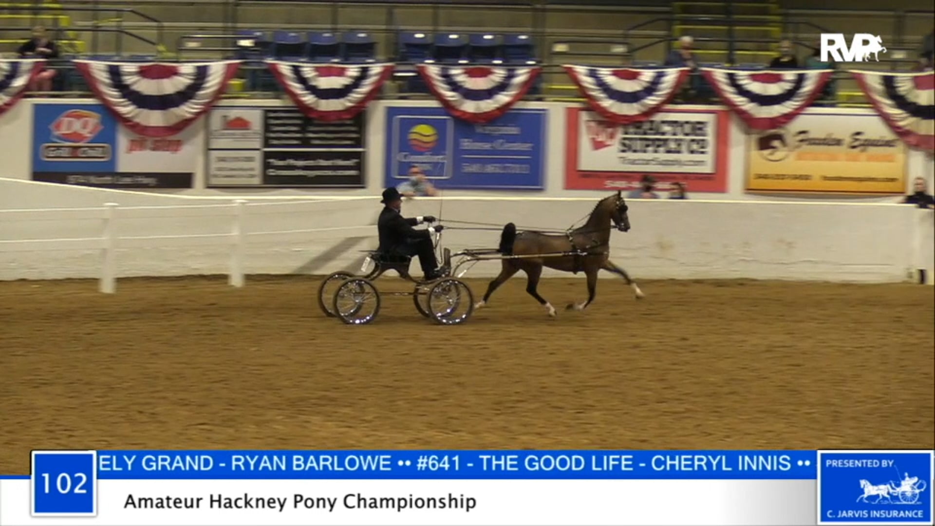 2020 BB - Class 102 Amateur Hackney Pony 
Championship