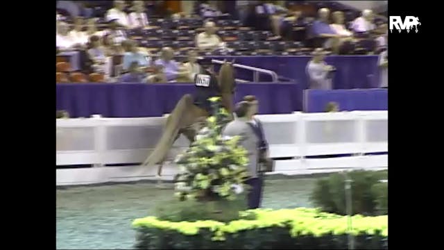 1999 WCHS - Class 83 Equitation Open ...