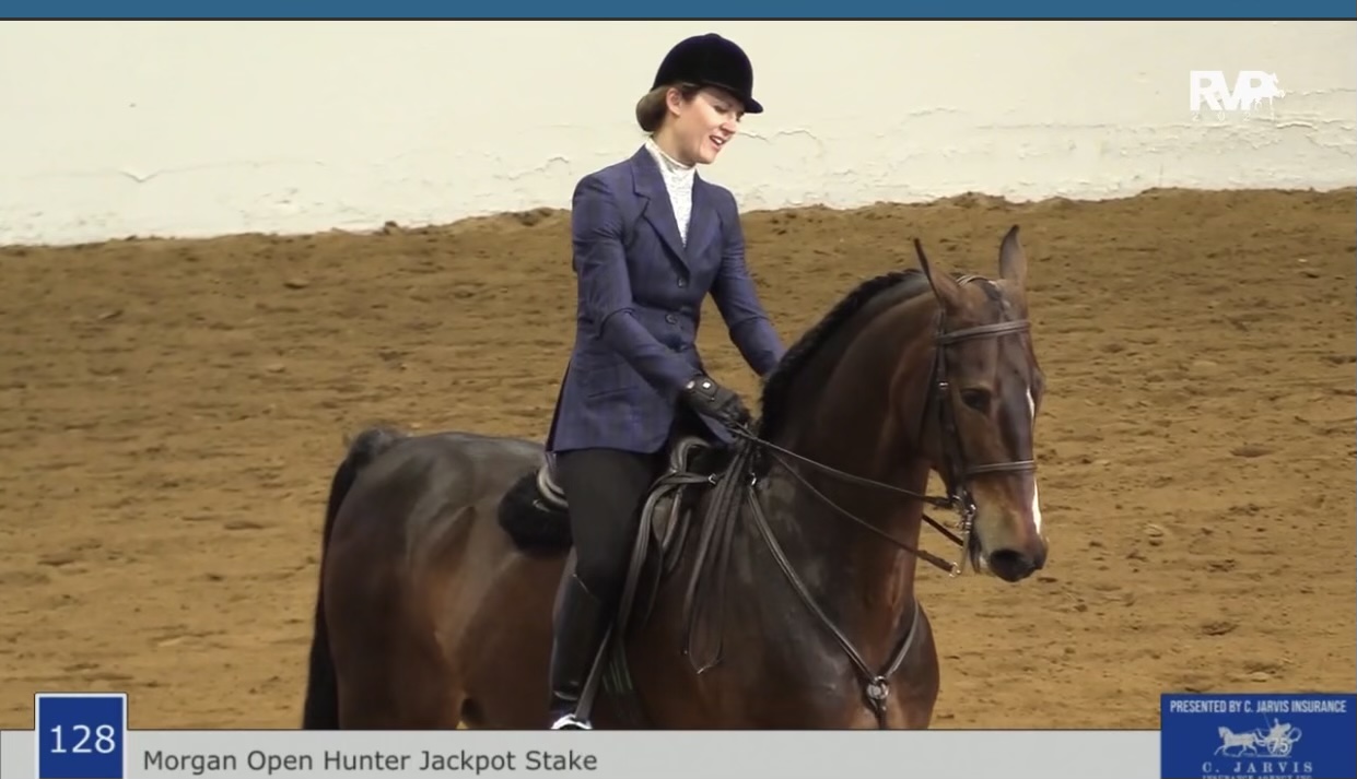 BB21 - Class 128 - Morgan Open Hunter Jackpot Stake
