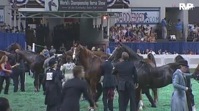 2010 World's Championship Horse Show ...