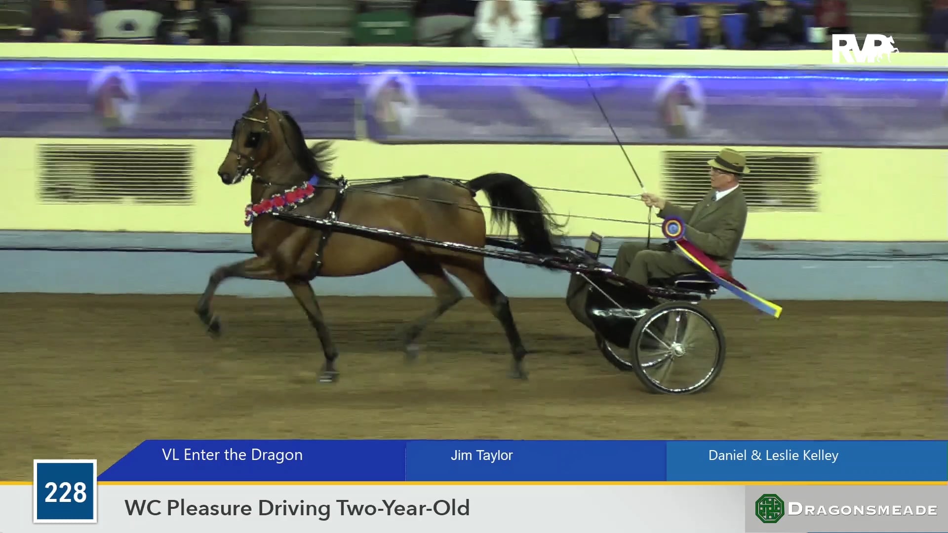 MGN19 - VL Enter the Dragon - Class 228