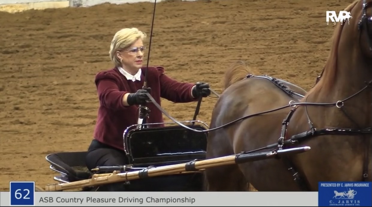 BB21 - Class 62 - ASB Country Pleasure Driving Championship