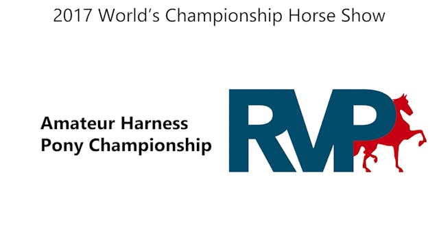 WCHS17 - Class 200 - Amateur Harness ...