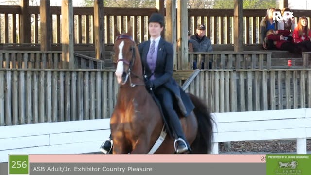 SB21 - Class 256 - ASB Adult Jr Exhib...