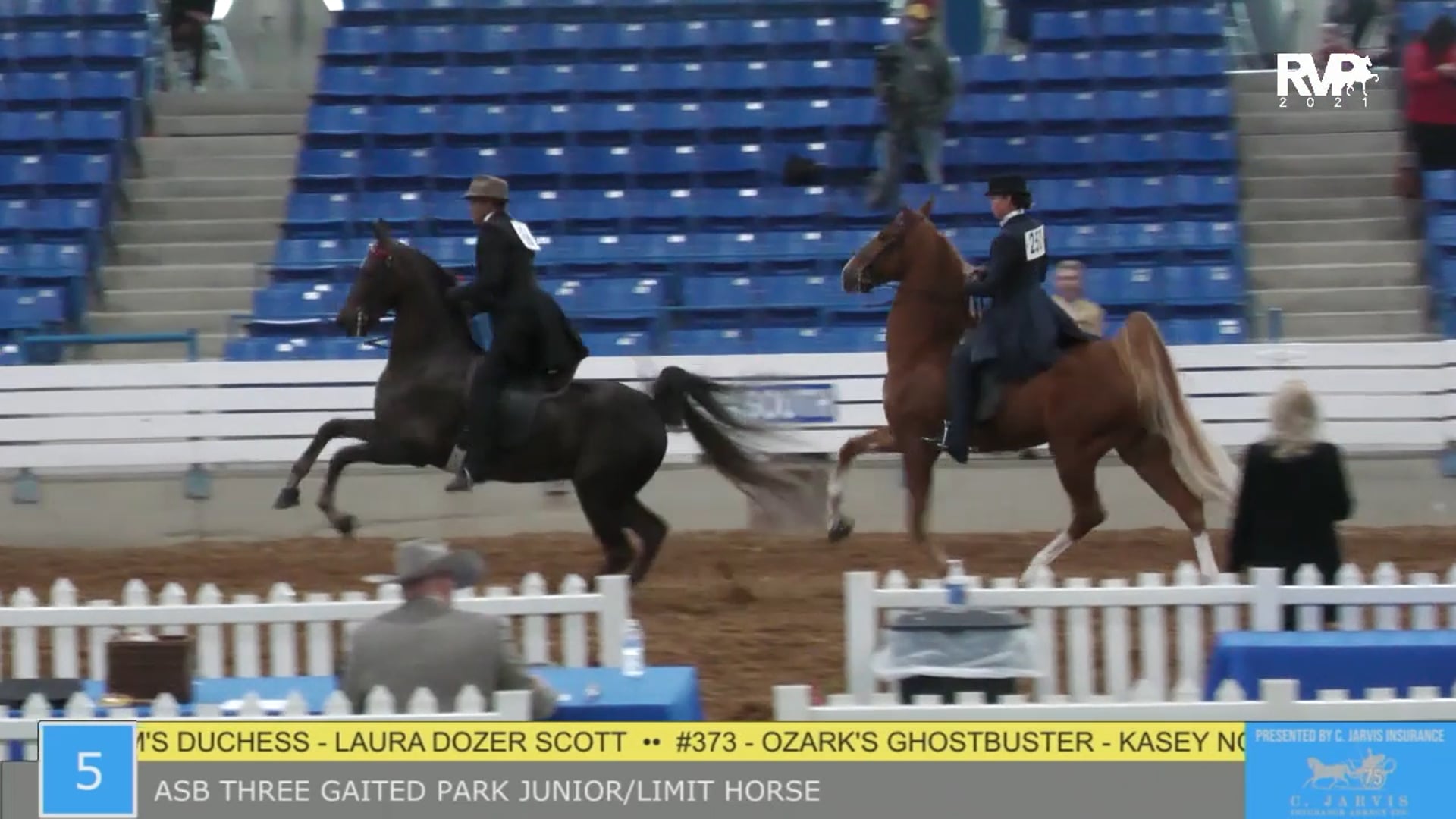SSSF21 - Class 5 - ASB Three Gaited Park Junior-Limit Horse