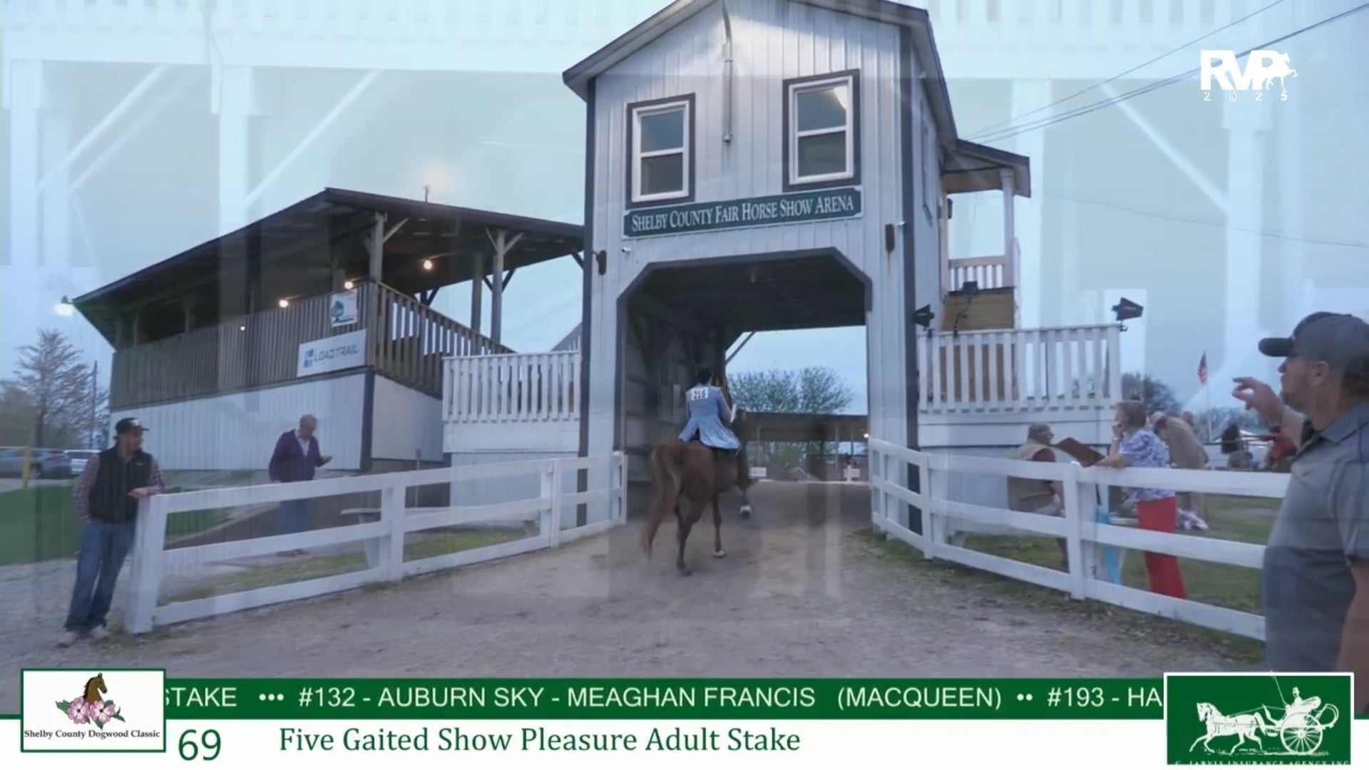 DC25 - Class 69 - Five Gaited Show Pleasure Adult Stake