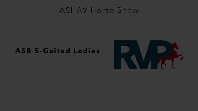 ASHAV23- Class 15- ASB 5-Gaited Ladies