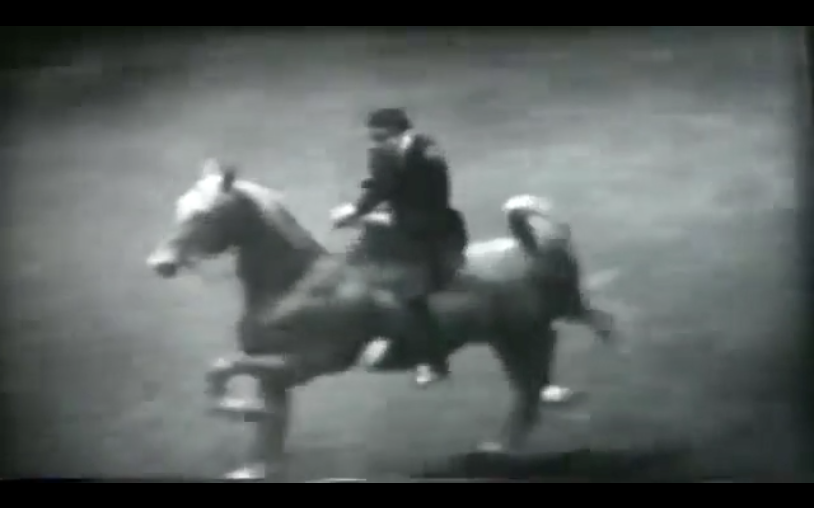 Madison Square Gardens