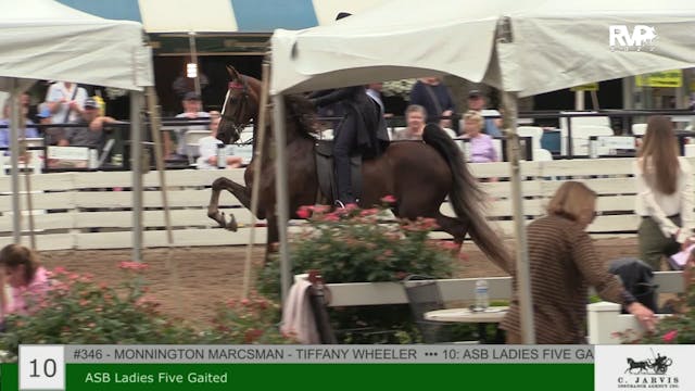 RC22 - Class 10 - ASB Ladies Five Gaited