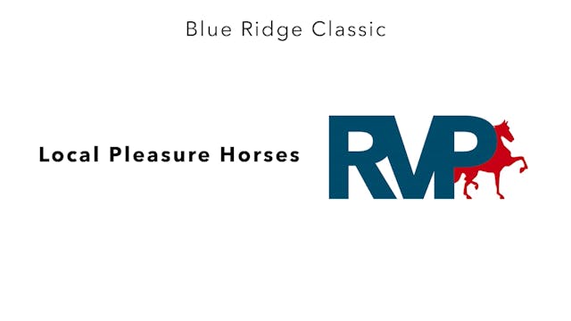 BR24 - Class 147 - Local Pleasure Horses