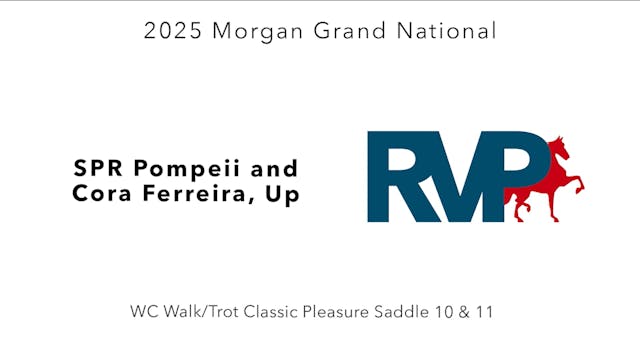 MGN25 - Class 105 - SPR Pompeii and C...